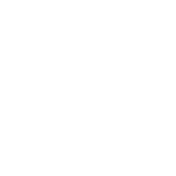 ARQIDEA